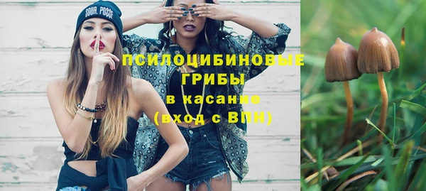 прущие крисы Алексин